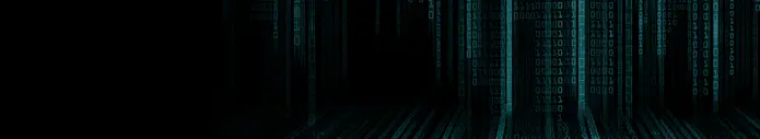 A dark background filled with cascading vertical lines of binary code (0s and 1s) creates a digital, futuristic atmosphere. The pattern gives a sense of depth, resembling a virtual tunnel or data stream, enhancing themes of technology and information.