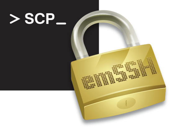emSSH-SCP logo black