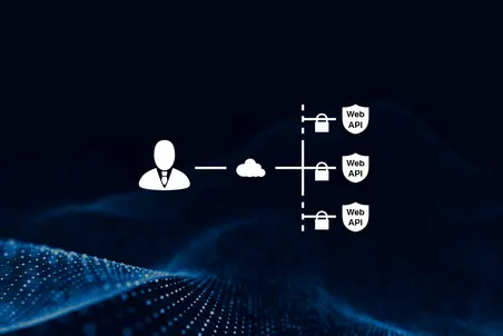 An illustration shows a user icon connected to a cloud, which links to multiple secured Web APIs. The design emphasizes a focus on secure data interaction between the user and APIs. The background features a digital wave pattern to suggest a technological theme.