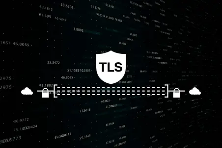 A shield icon labeled "TLS" is centered in the image. Surrounding it are abstract representations of data streams and lock symbols, indicating secure data transmission. The background features dark shades with numeric sequences, emphasizing the theme of cybersecurity and data protection.