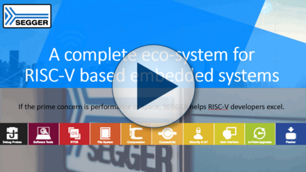 A Complete Ecosystem for RISC-V-Based Embedded Systems