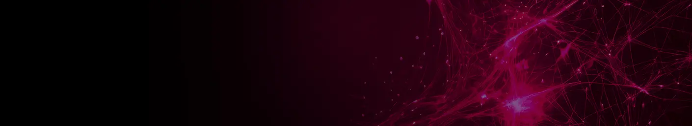 Abstract illustration featuring vibrant pink and purple lines and light points against a dark background. The design conveys a sense of interconnectedness and dynamic movement, evoking themes of technology and innovation.